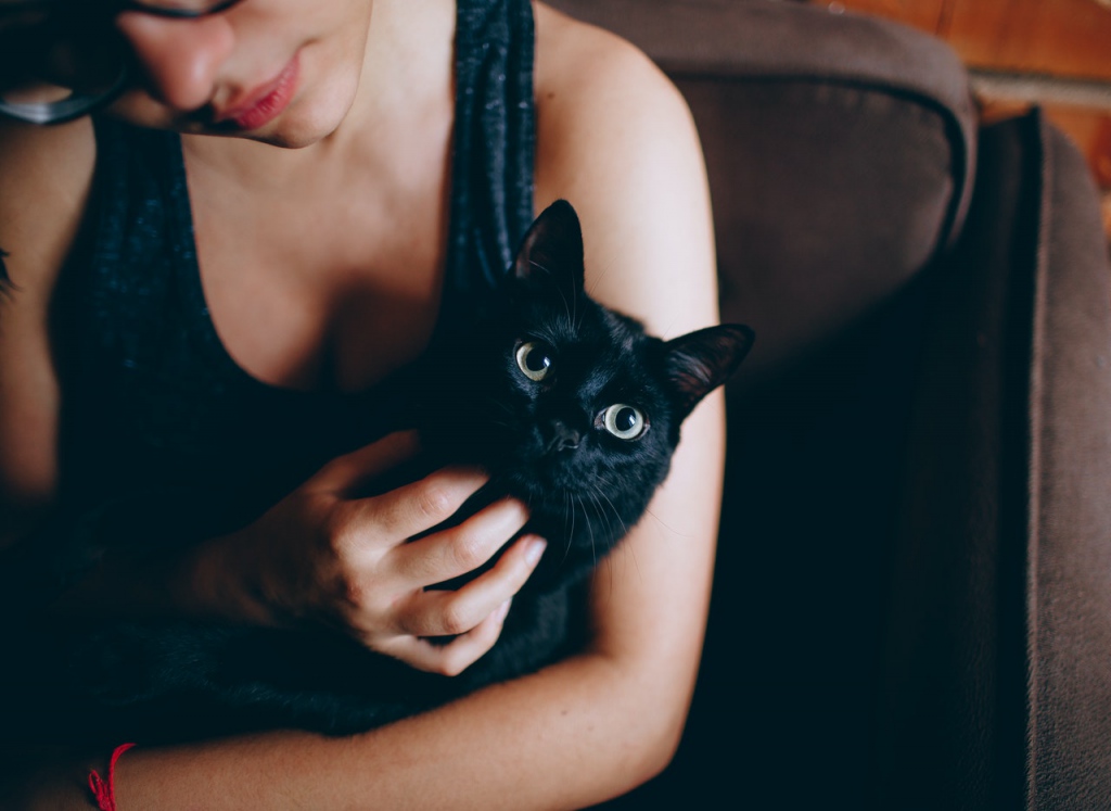 Un chat noir dans les bras d'une femme