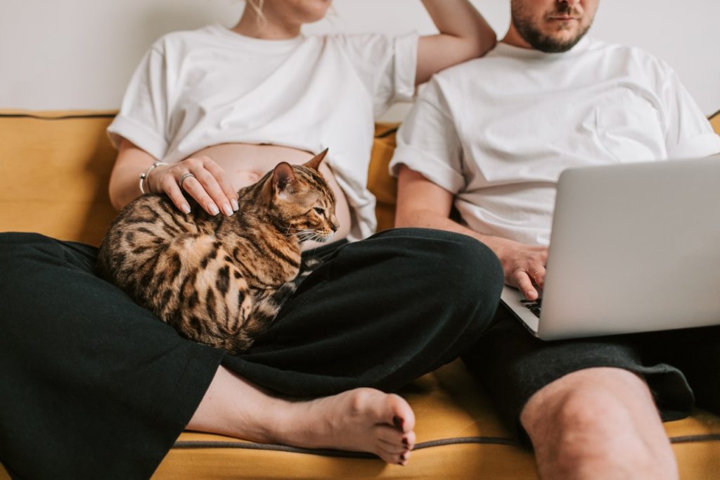 Un couple dont la femme est enceinte sur leur canapé avec un chat sur leurs genoux