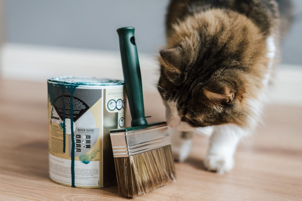 Un chat curieux sent un pot de peinture